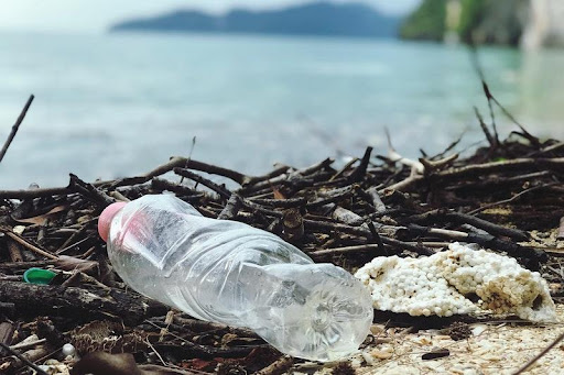 Plastična flaša kraj reke 