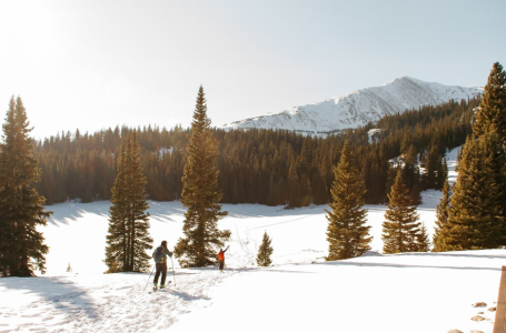 Lepota planine u zimskom periodu: Gde uživati tokom hladnijih dana