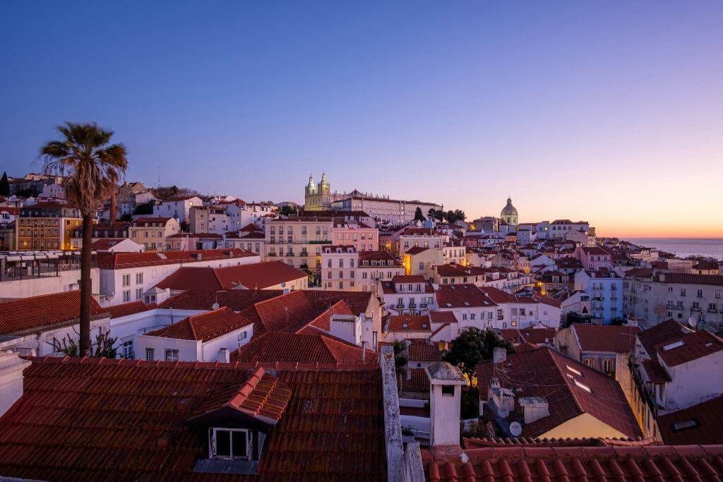 krovovi-palma-alfama-lisabon