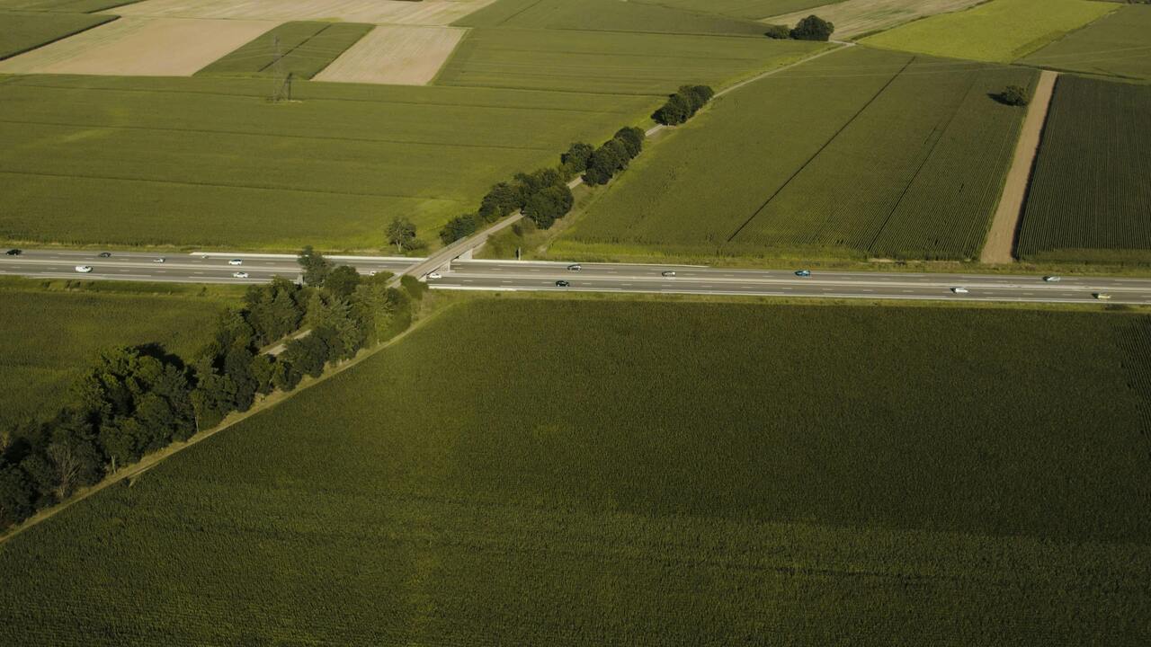Autoput kroz zelene useve sa automobilima i drvoredom pored nadvožnjaka